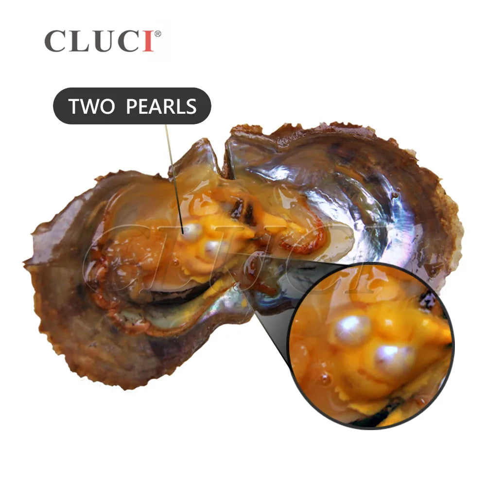 CLUCI 30pcs Akoya Oysters With Pearls Mix 13 Colors WP335SB