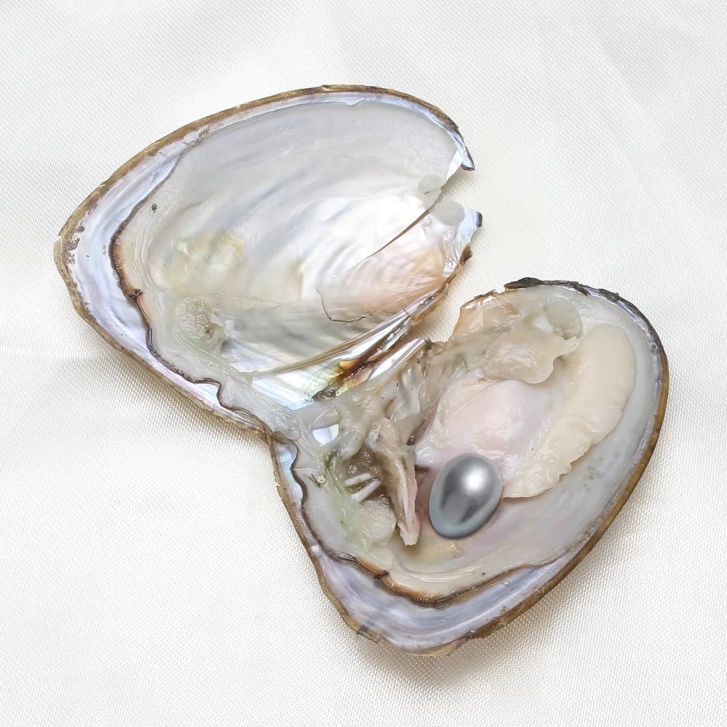 Freshwater Pearl Beads Oyster Pearls 50 Pcs Lot For Jewelry Making