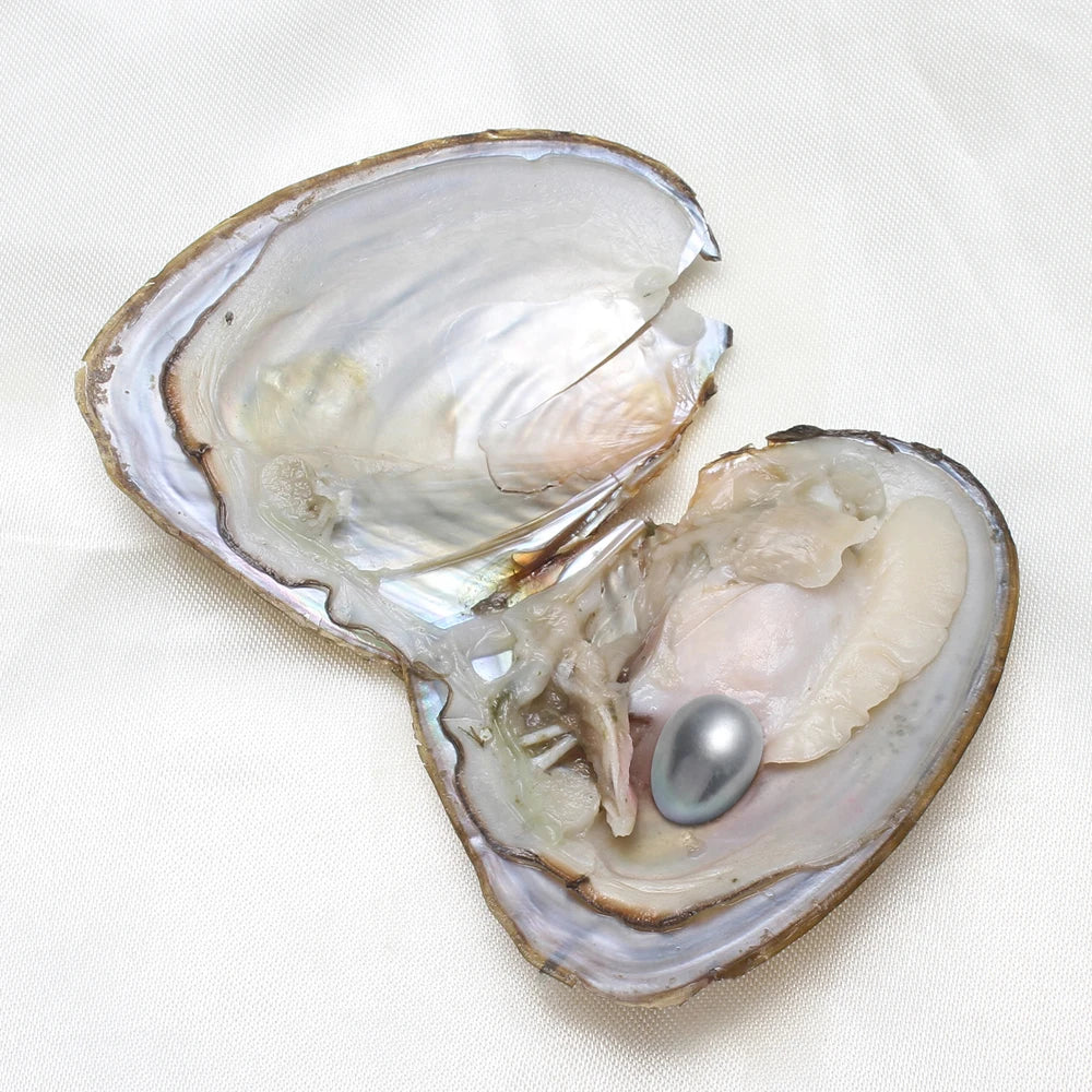 50 Pieces Freshwater Pearls AA Plus Vacuum Packed Oyster