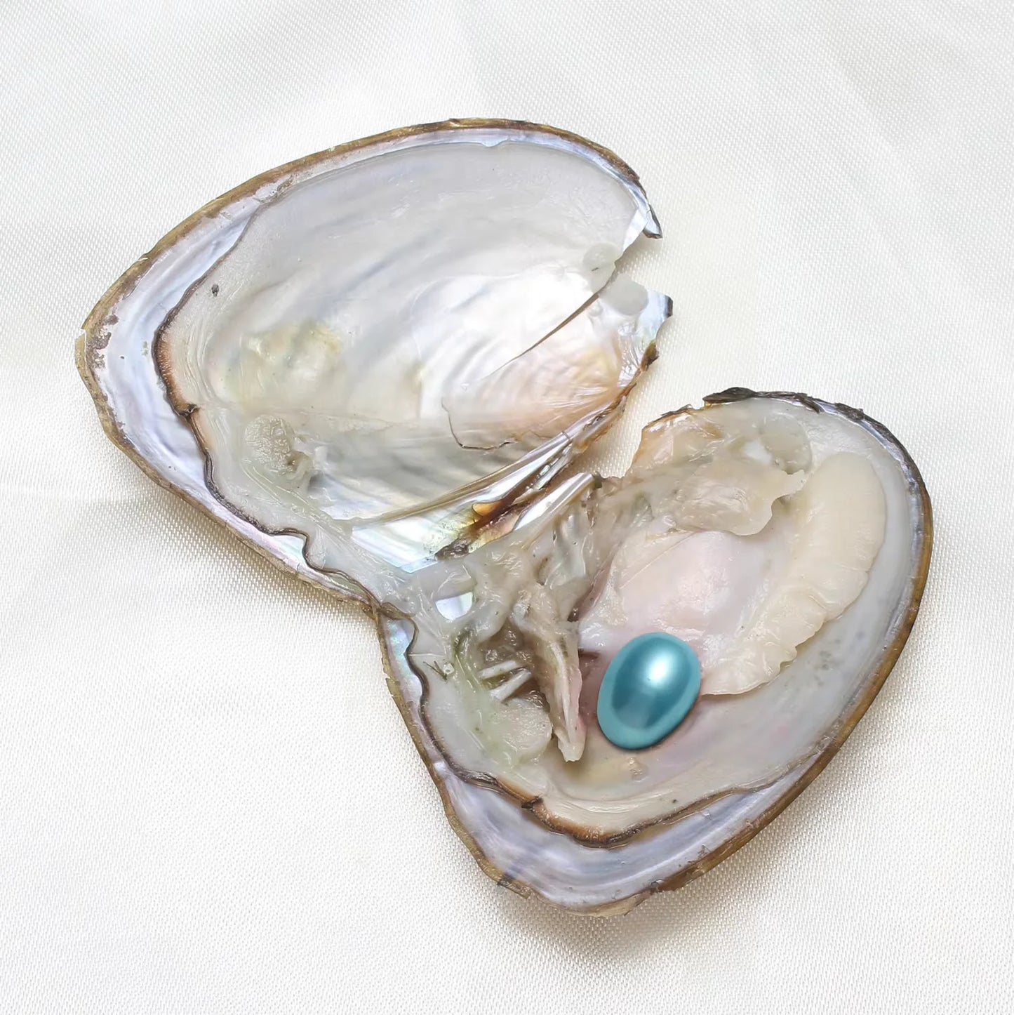 Freshwater Pearl Beads Oyster Pearls 50 Pcs Lot For Jewelry Making